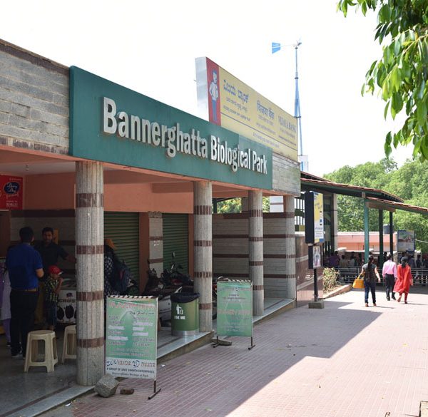 15 Places To Visit In Bangalore With Kids & Family