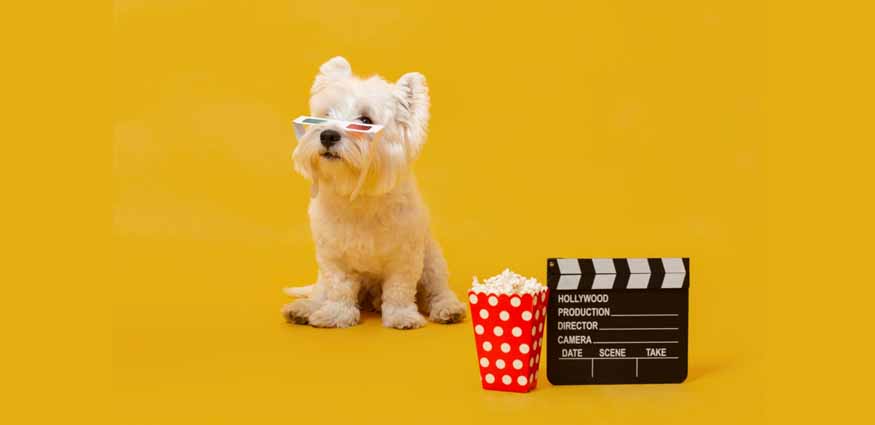 dog-movies