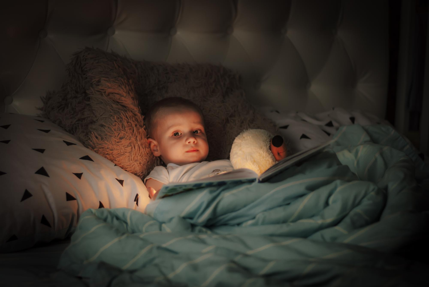 6 Common Reasons For A Toddler Waking Up In The Night