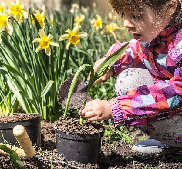 The Positive Impact of Gardening on Children: Six Beneficial Ways