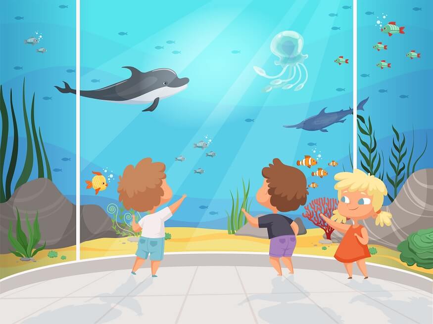 aquarium-school-trips