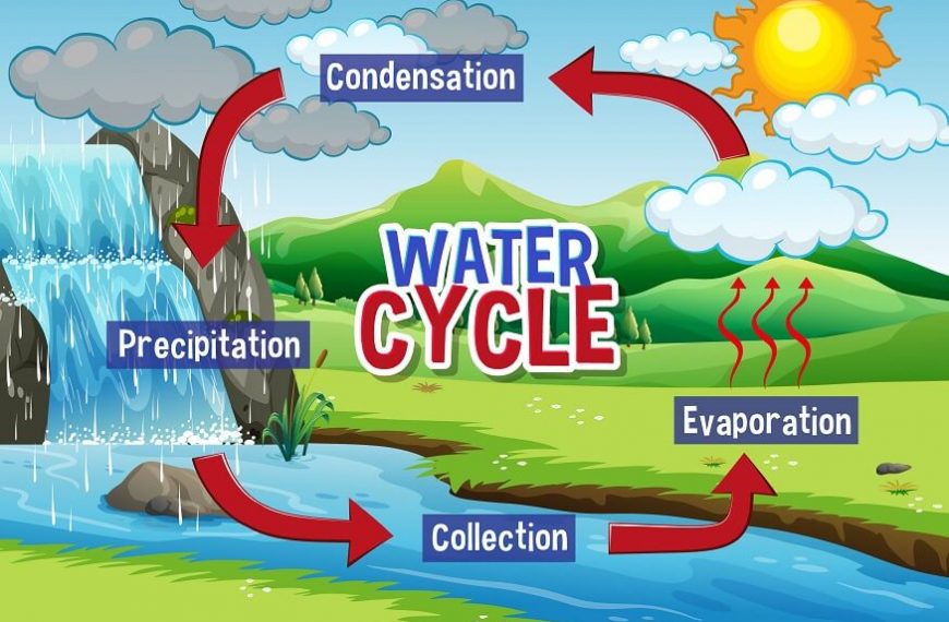 what-is-the-water-cycle