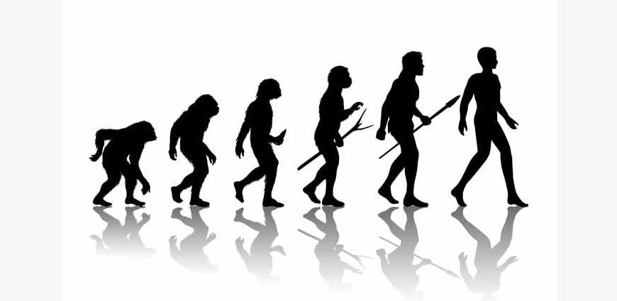 history-of-human-evolution