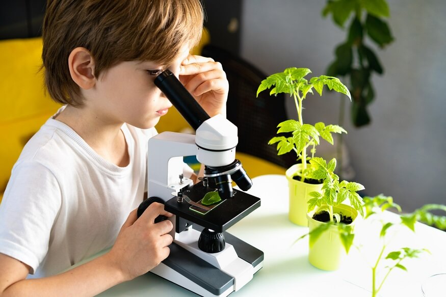 environmental-science-for-kids
