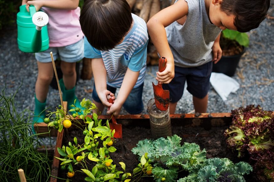 growing-a-vegetable-garden-with-kids