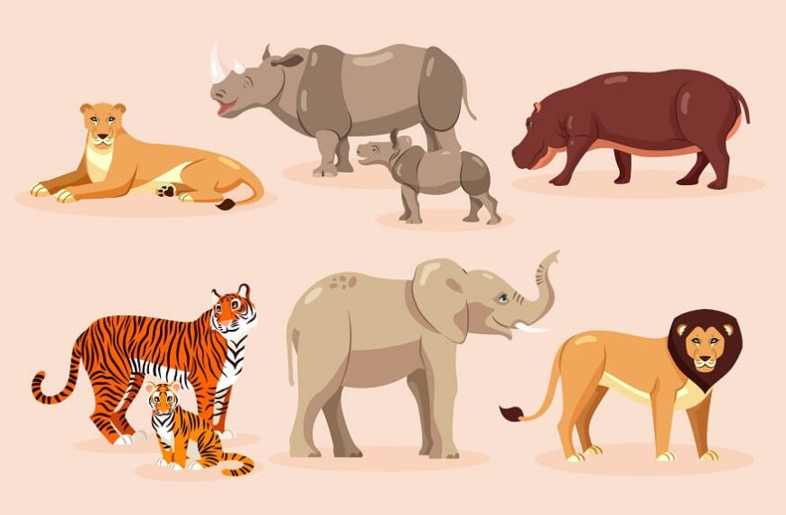kids-guide-to-herbivores-carnivores-omnivores-in-animal-kingdom