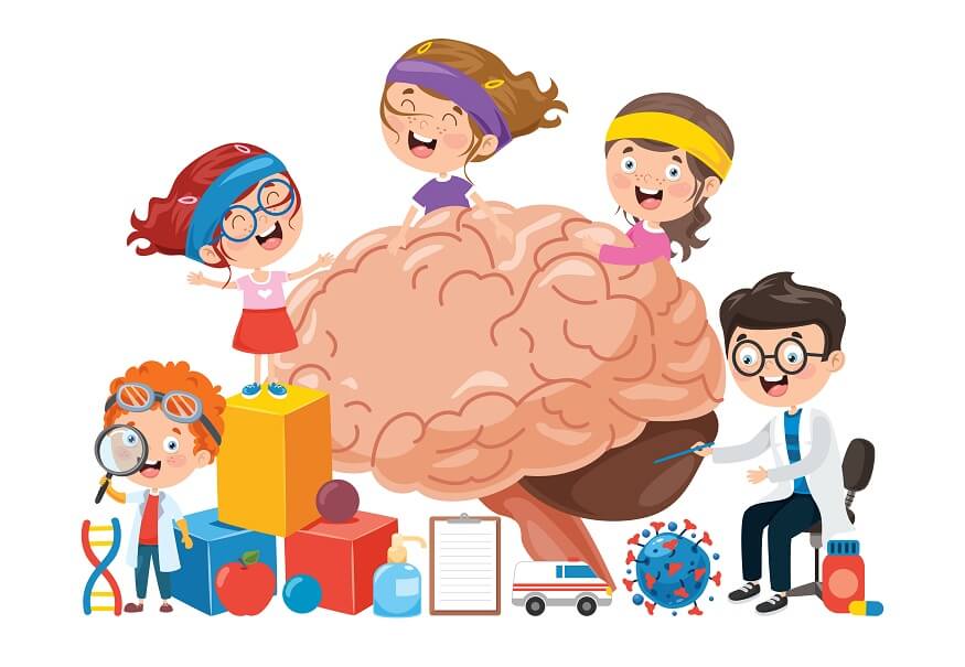 child's-brain-development