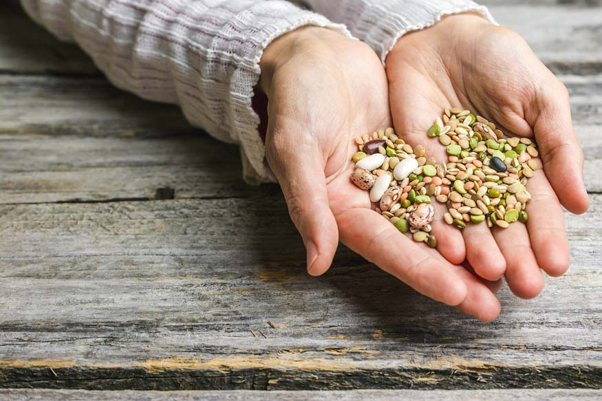 Edible Seeds: Culinary Wonders and Nutritional Powerhouses
