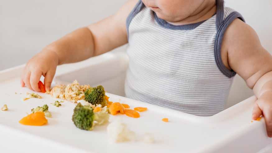 toddler-nutrition-myths