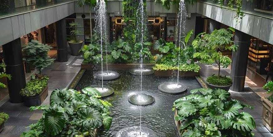 using-rainwater-in-an-indoor-garden
