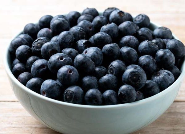 Roses are Red and Blueberries are Blue: Blueberries for Kids