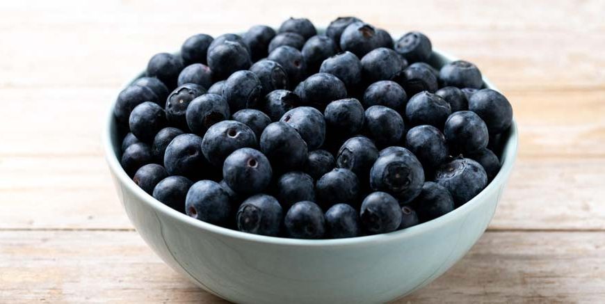 blueberries-for-kids