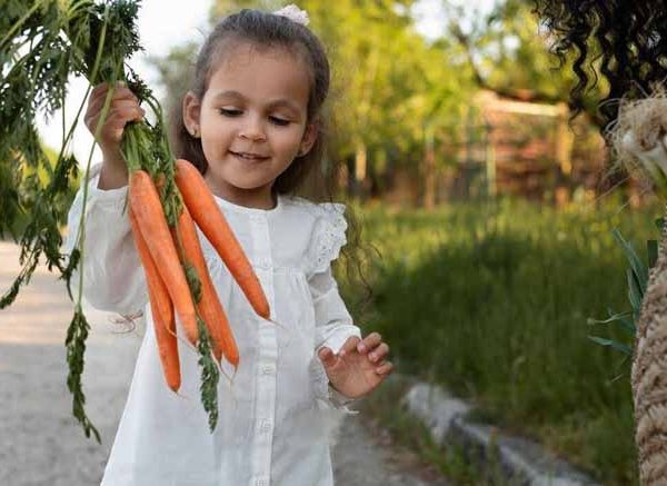 carrots-and-their-importance