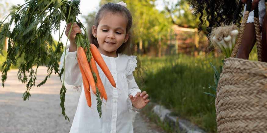 carrots-and-their-importance