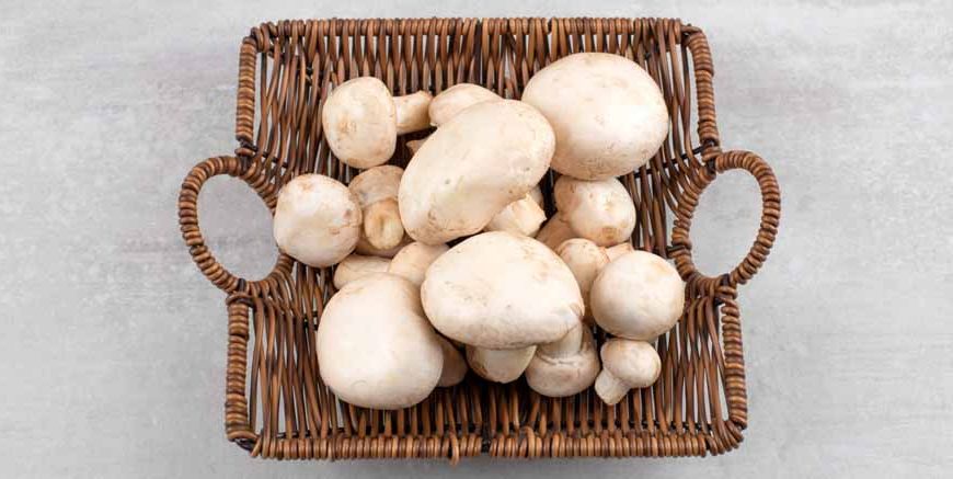mushrooms-for-babies