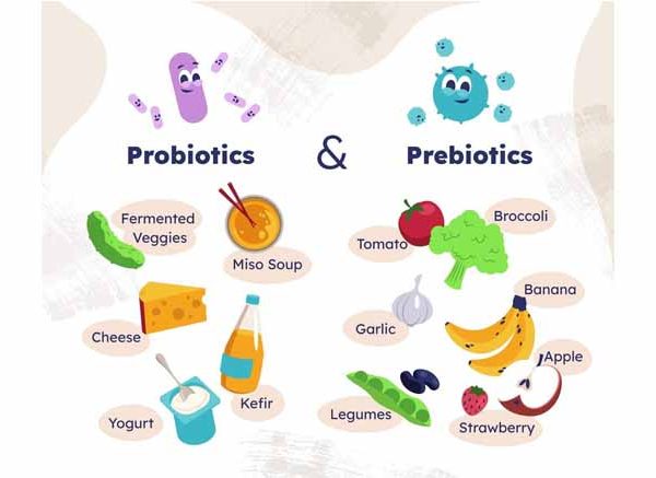 prebiotics-vs-probiotics