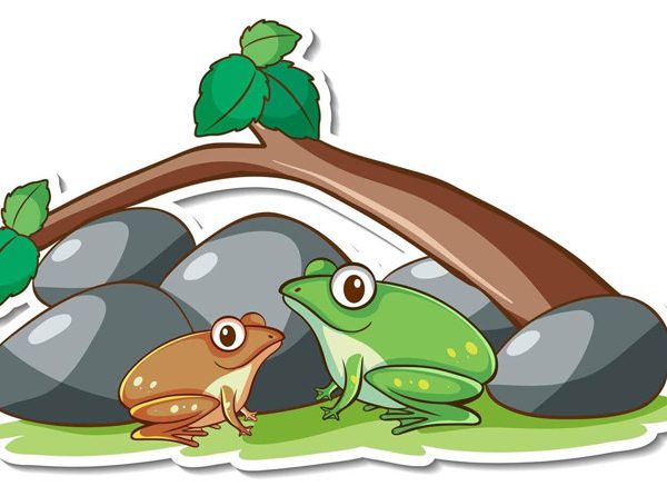 two-frogs-story-for-kids
