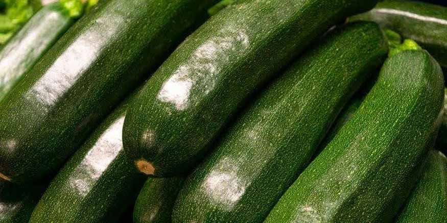 zucchini-recipes