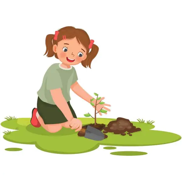 Planting Trees: Helping Kids Understand the Importance of Trees