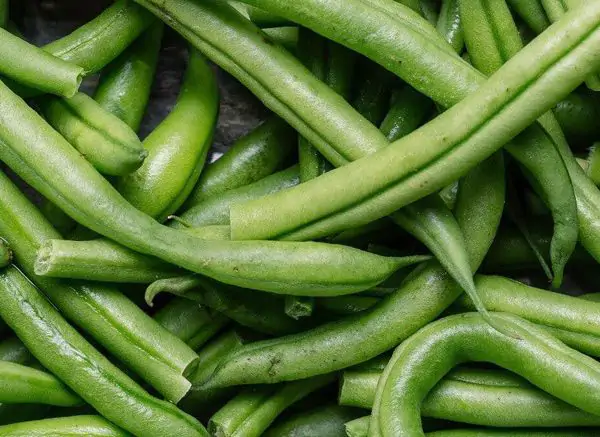 green-beans-for-babies