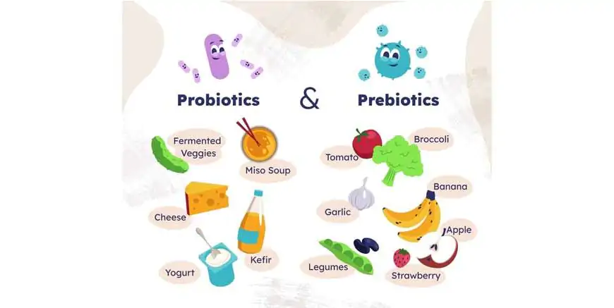 prebiotics-vs-probiotics